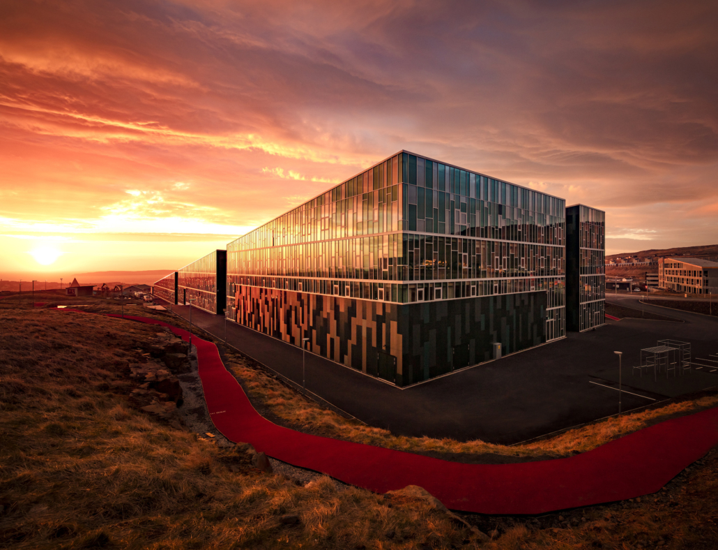 Orange Landscape -  Denmark